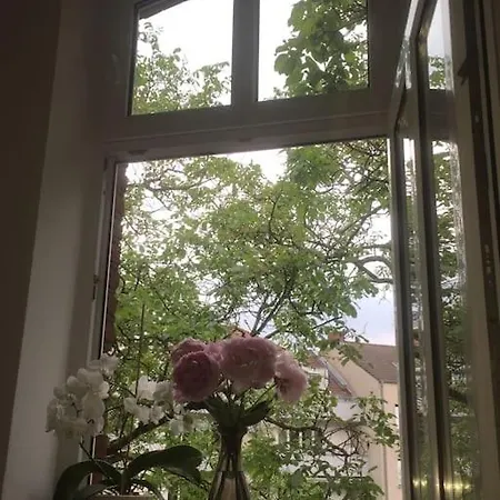 Schone Altbauwohnung Mit Garten * Düsseldorf